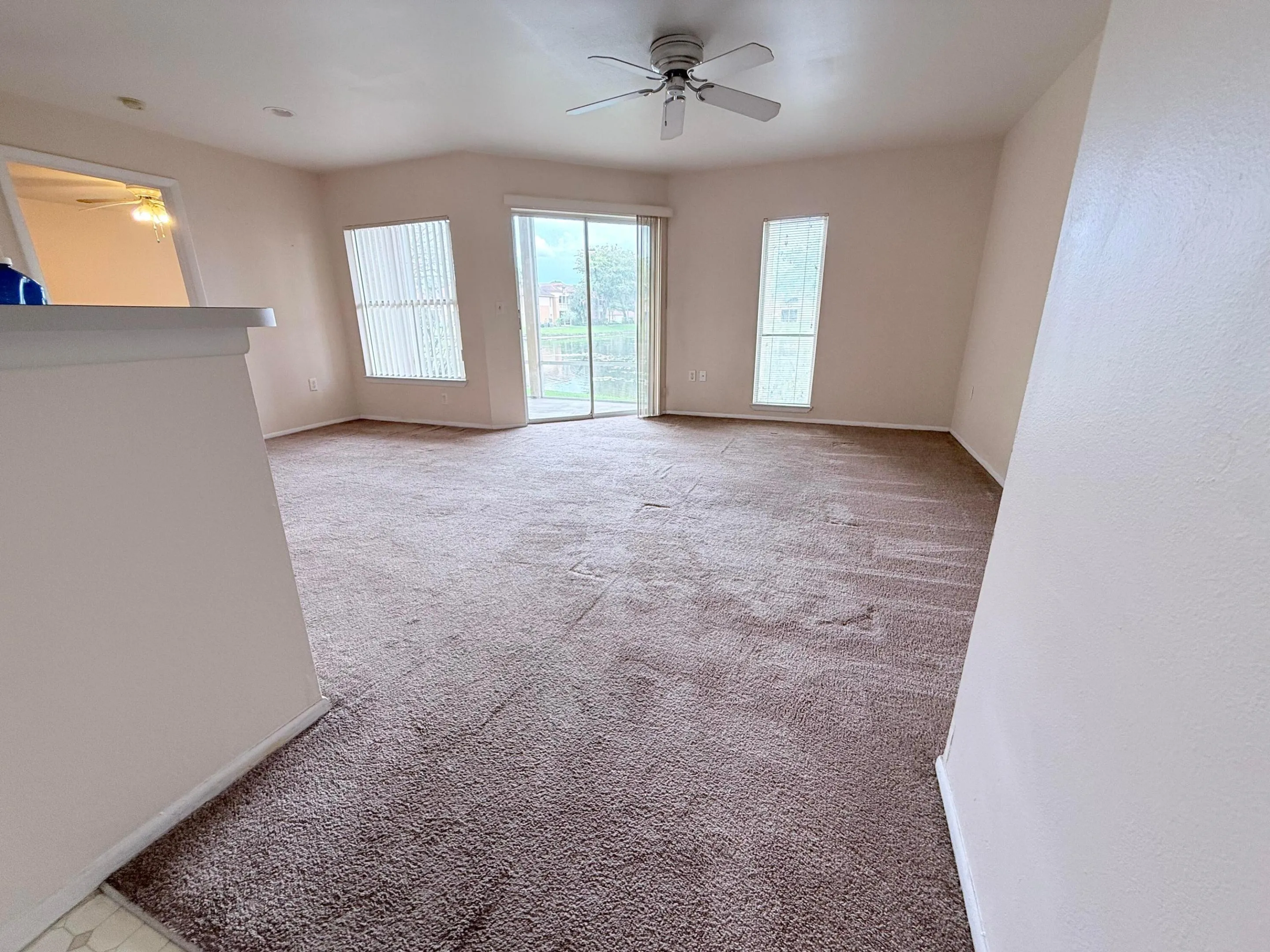 Living room view from entrance.