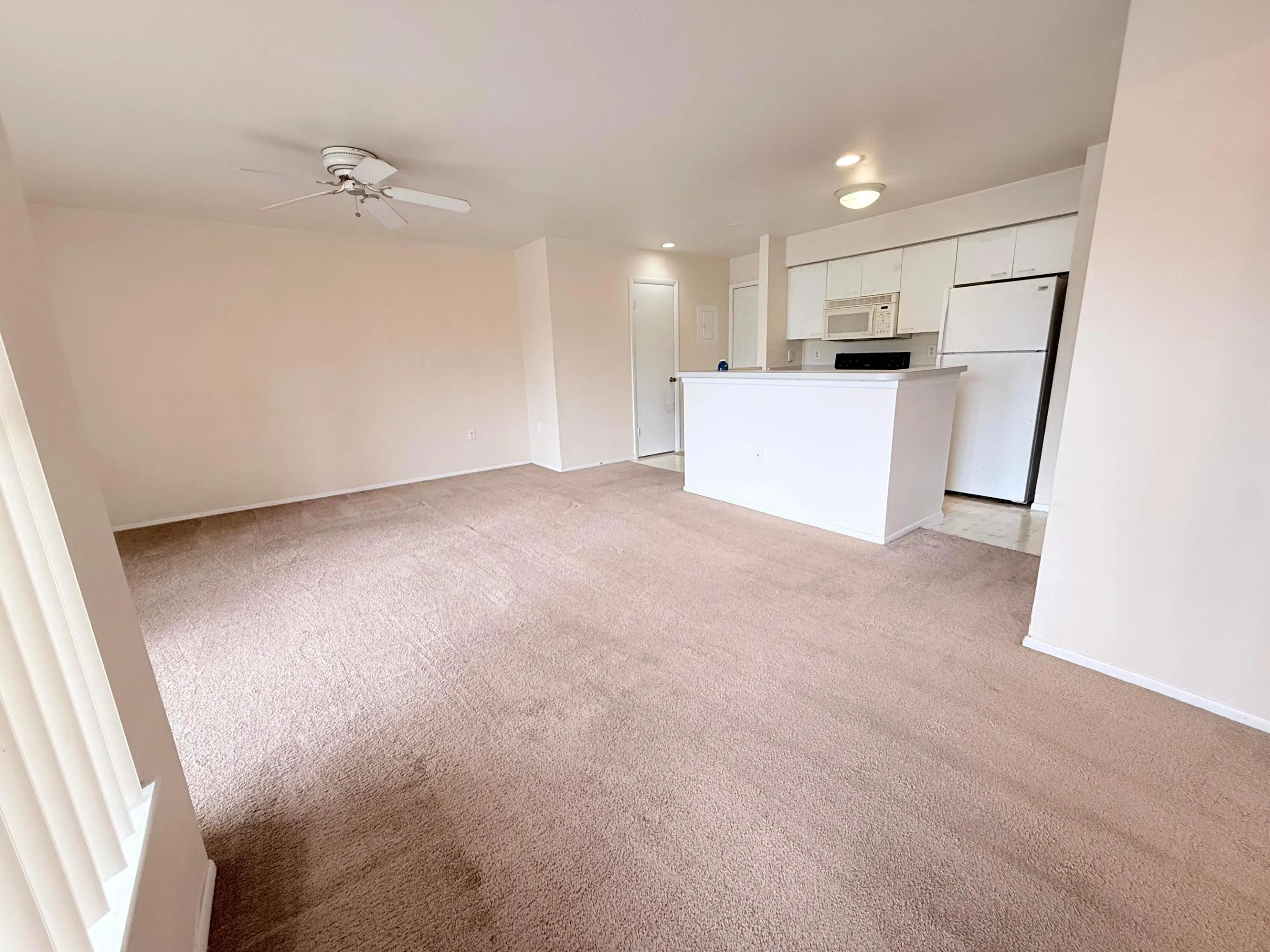 Living room/Kitchen view