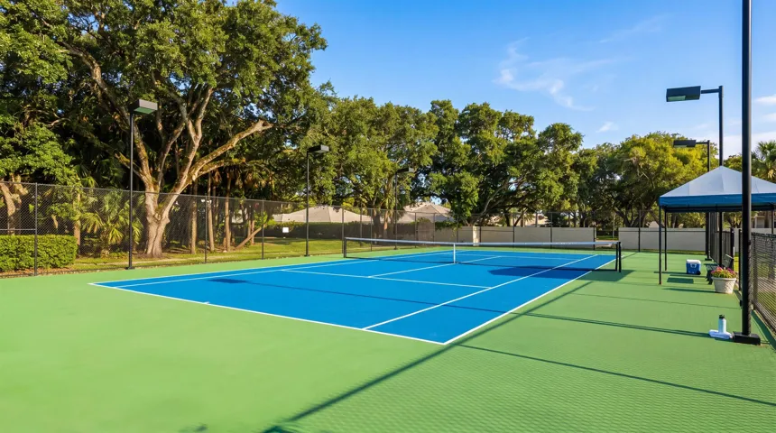 Pickleball Court