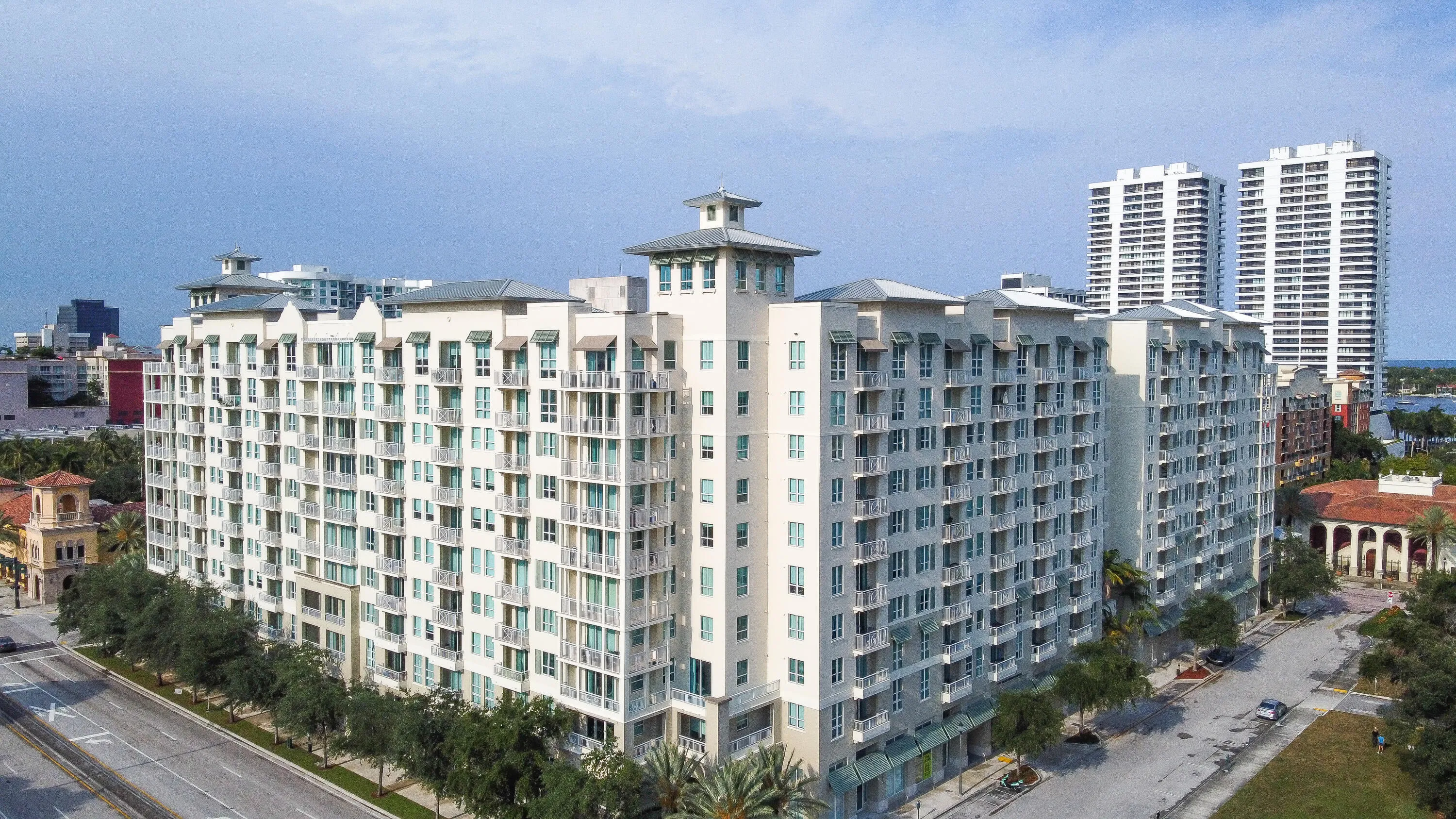 City Palms