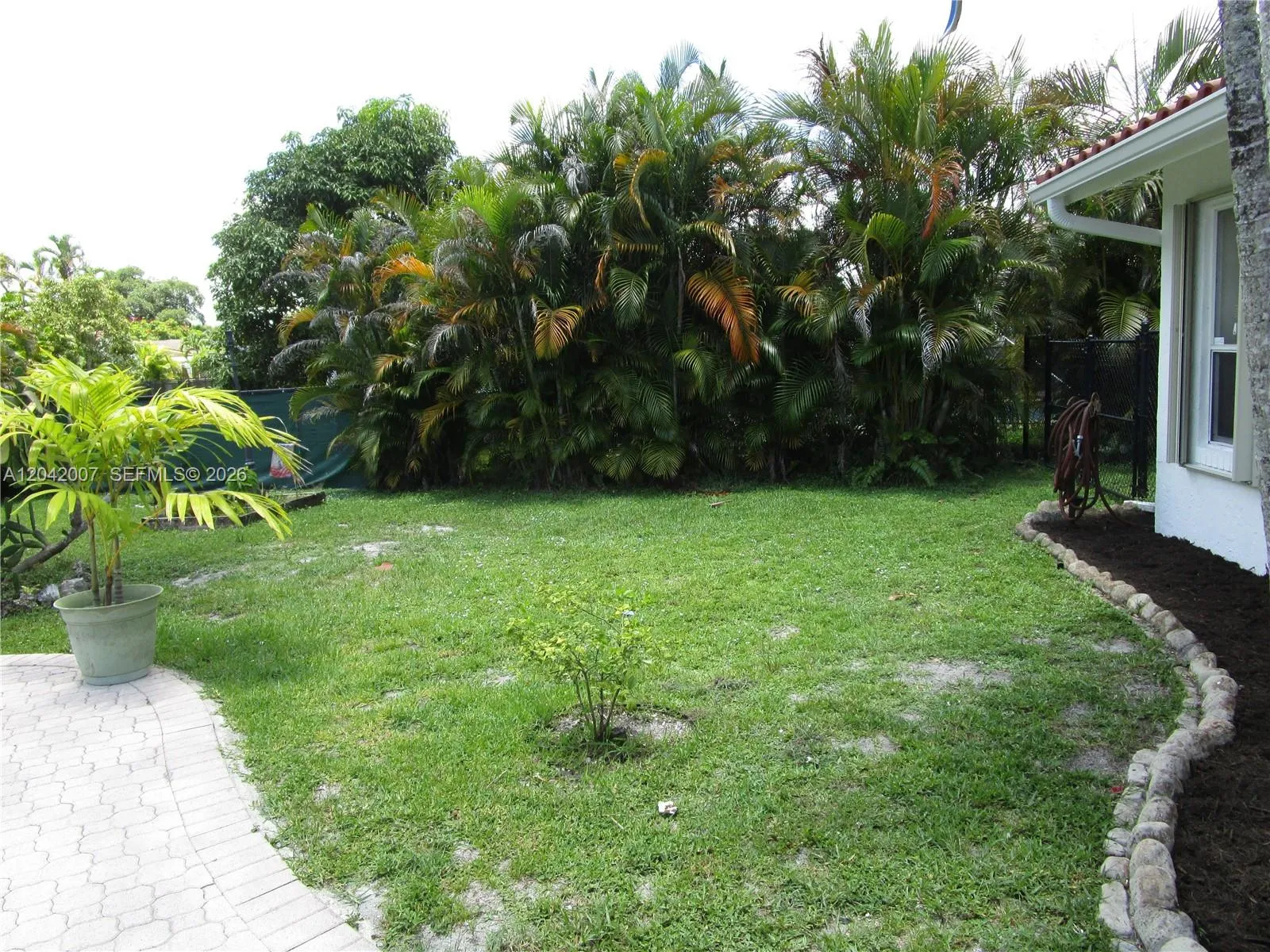 Photo 38