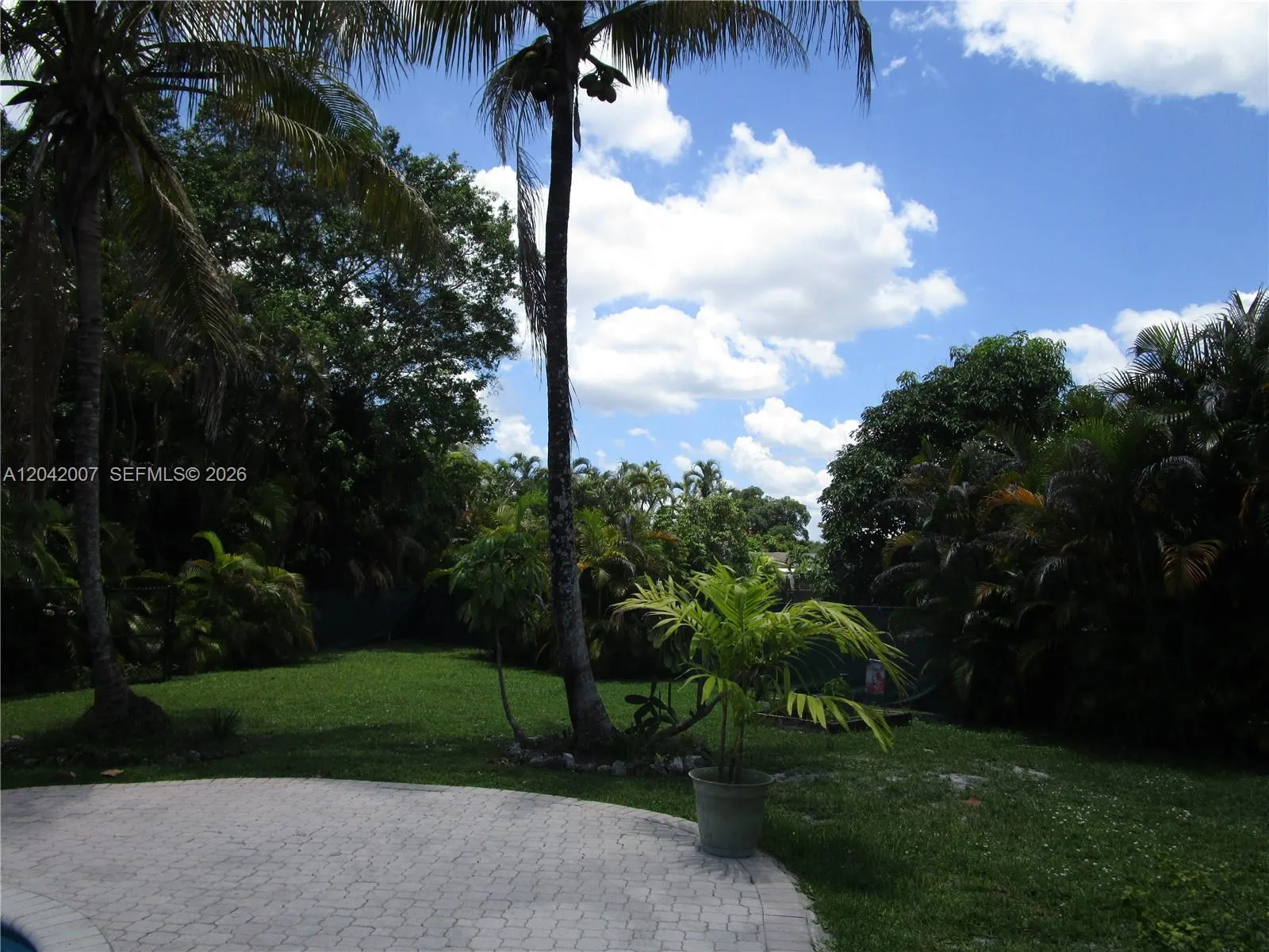 Photo 32