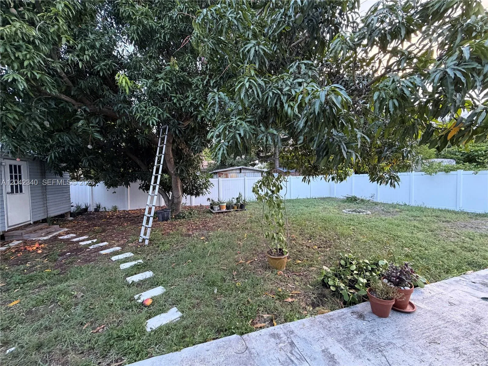 Photo 31