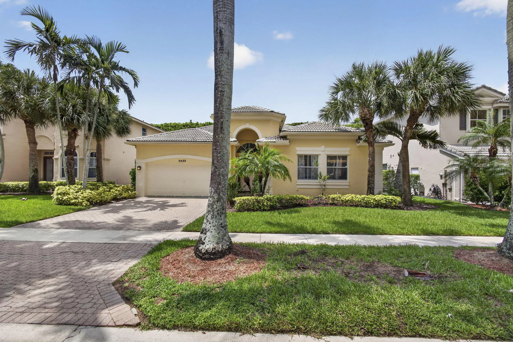 2-web-or-mls-BS1A2418