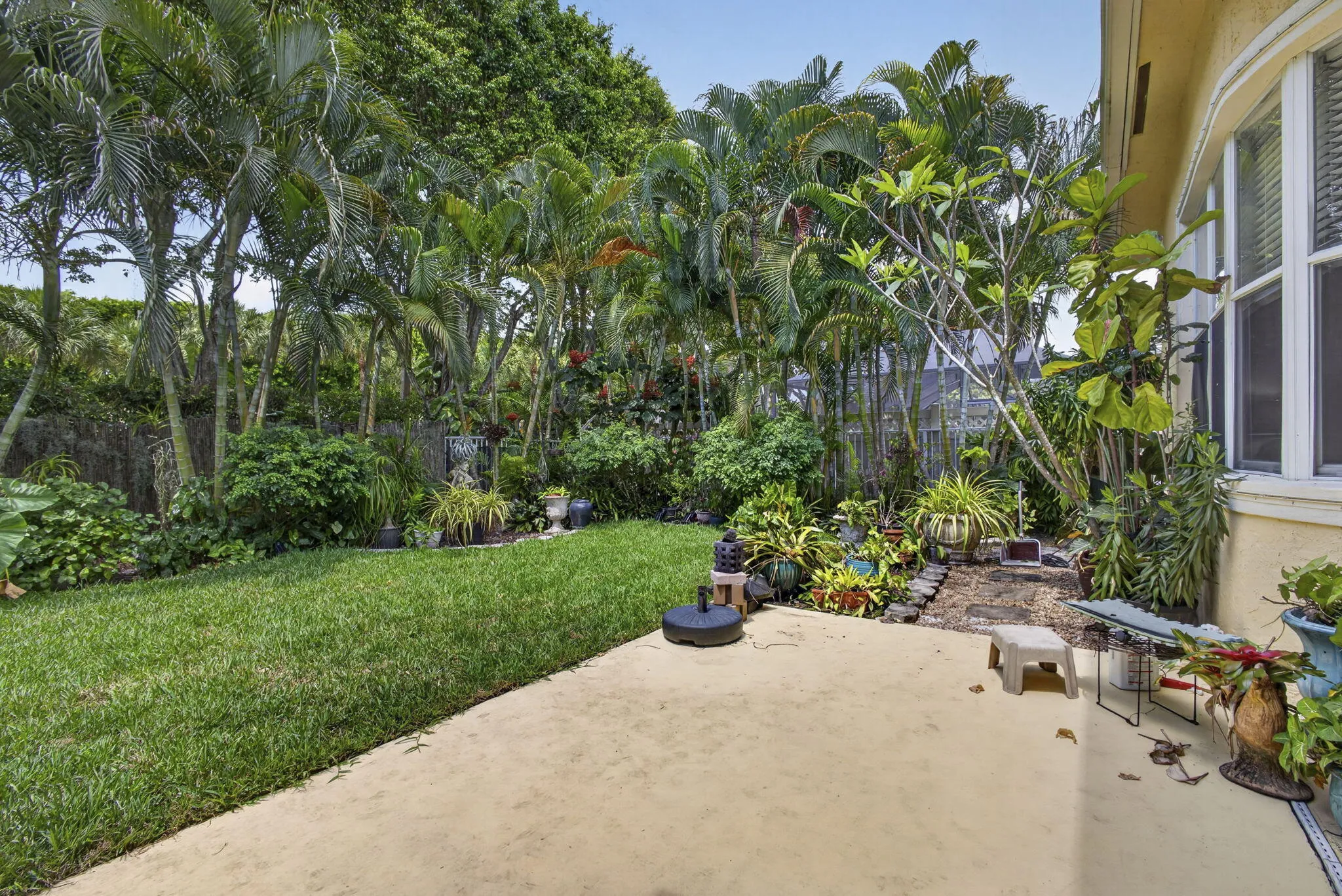 50-web-or-mls-BS1A2359