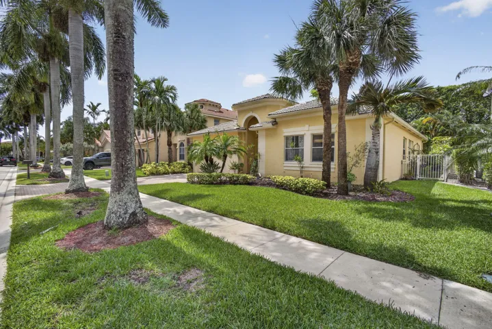 3-web-or-mls-BS1A2422