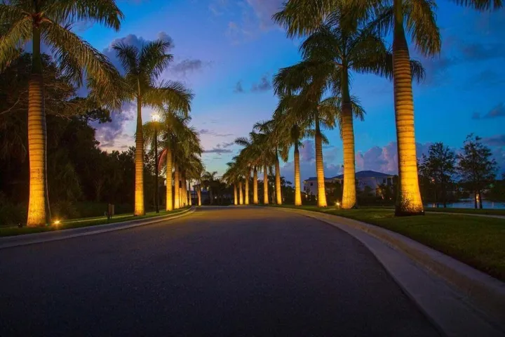 Drive Into The Community