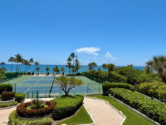 Beautiful view