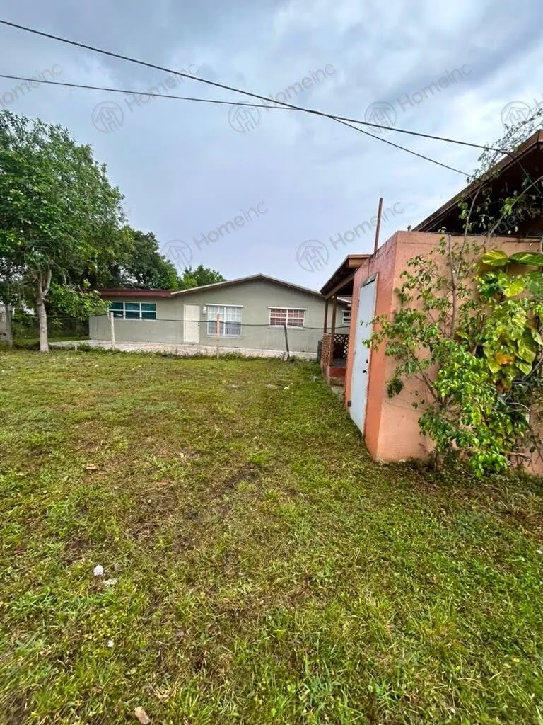 backyard_shed