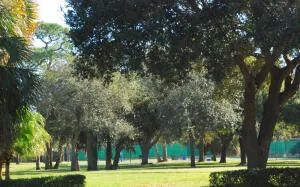 Oaks Park Tennis Courts