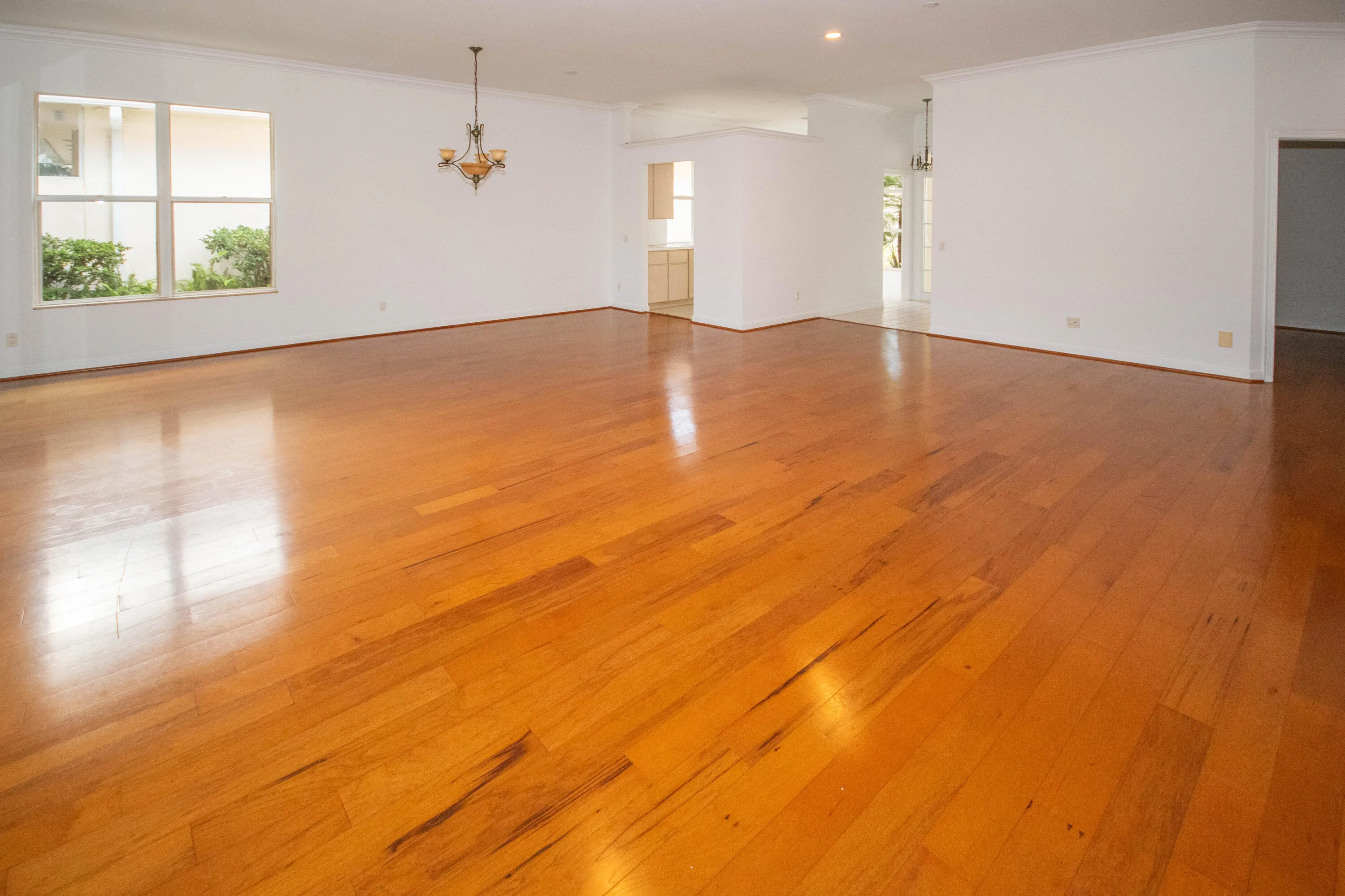 291 East Tall Oaks Circle-3