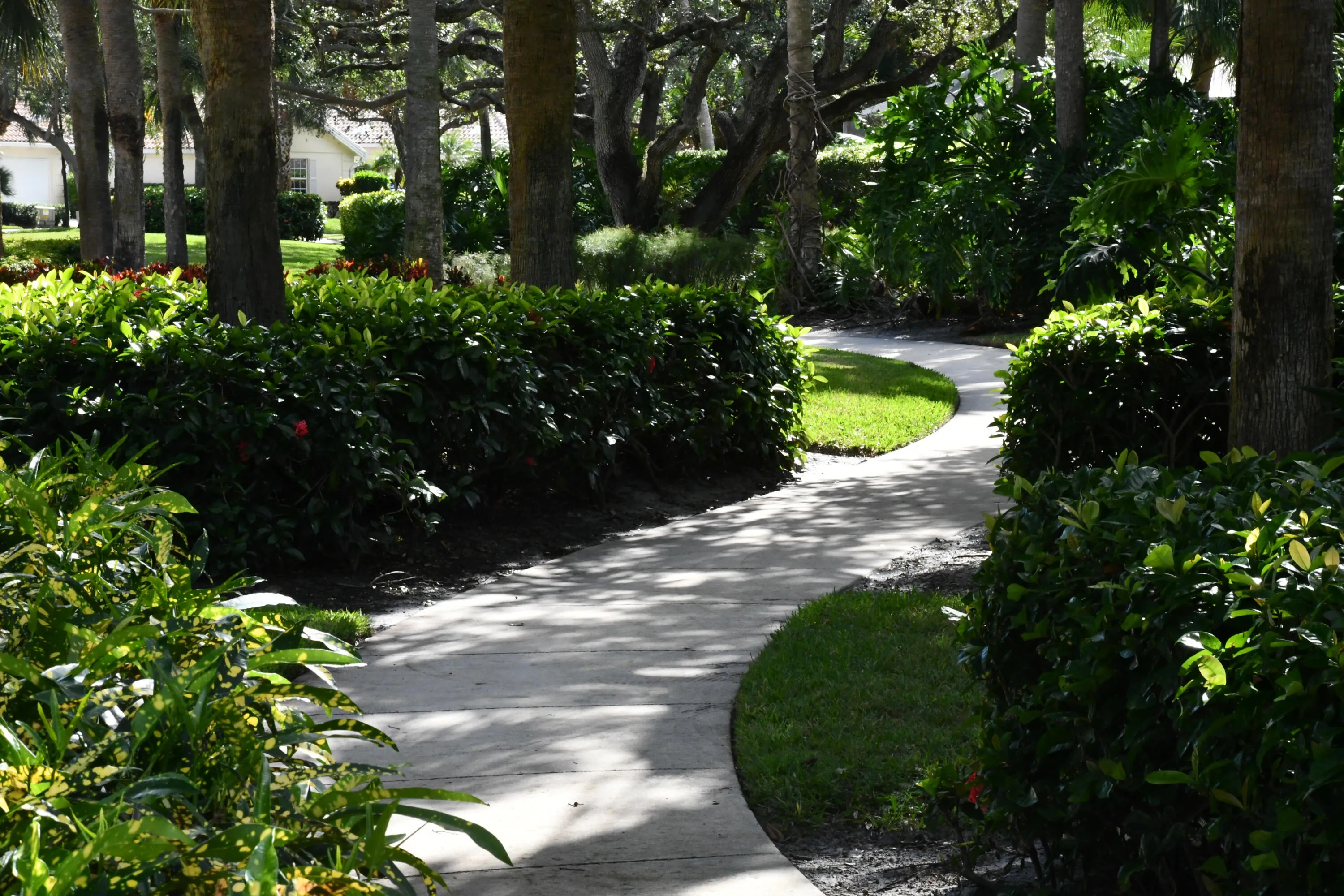 OAKS EAST (10)