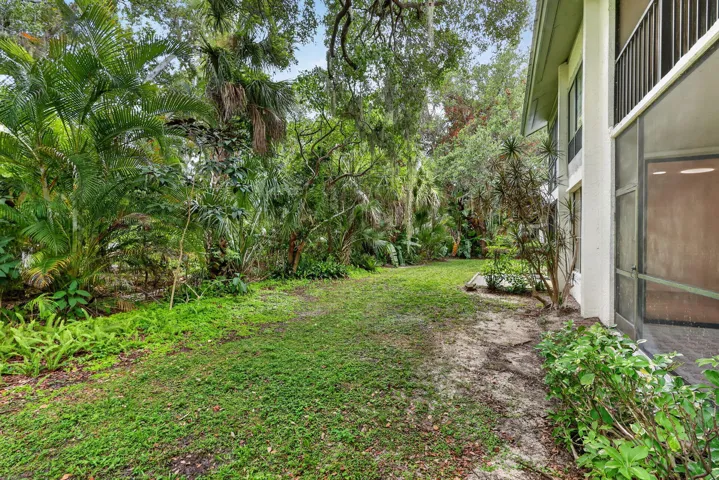 BACK GARDEN AREA