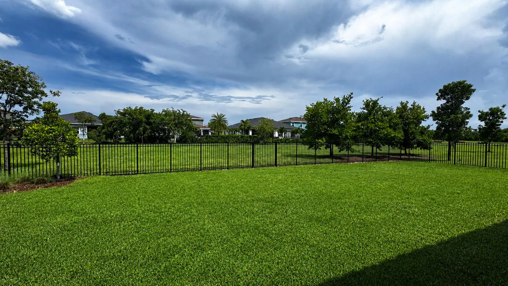 Fenced Back Yard