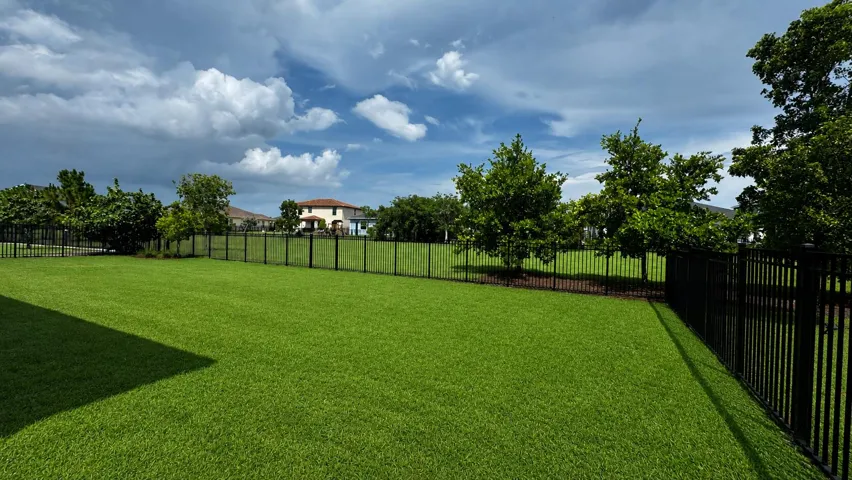 Fenced Back Yard