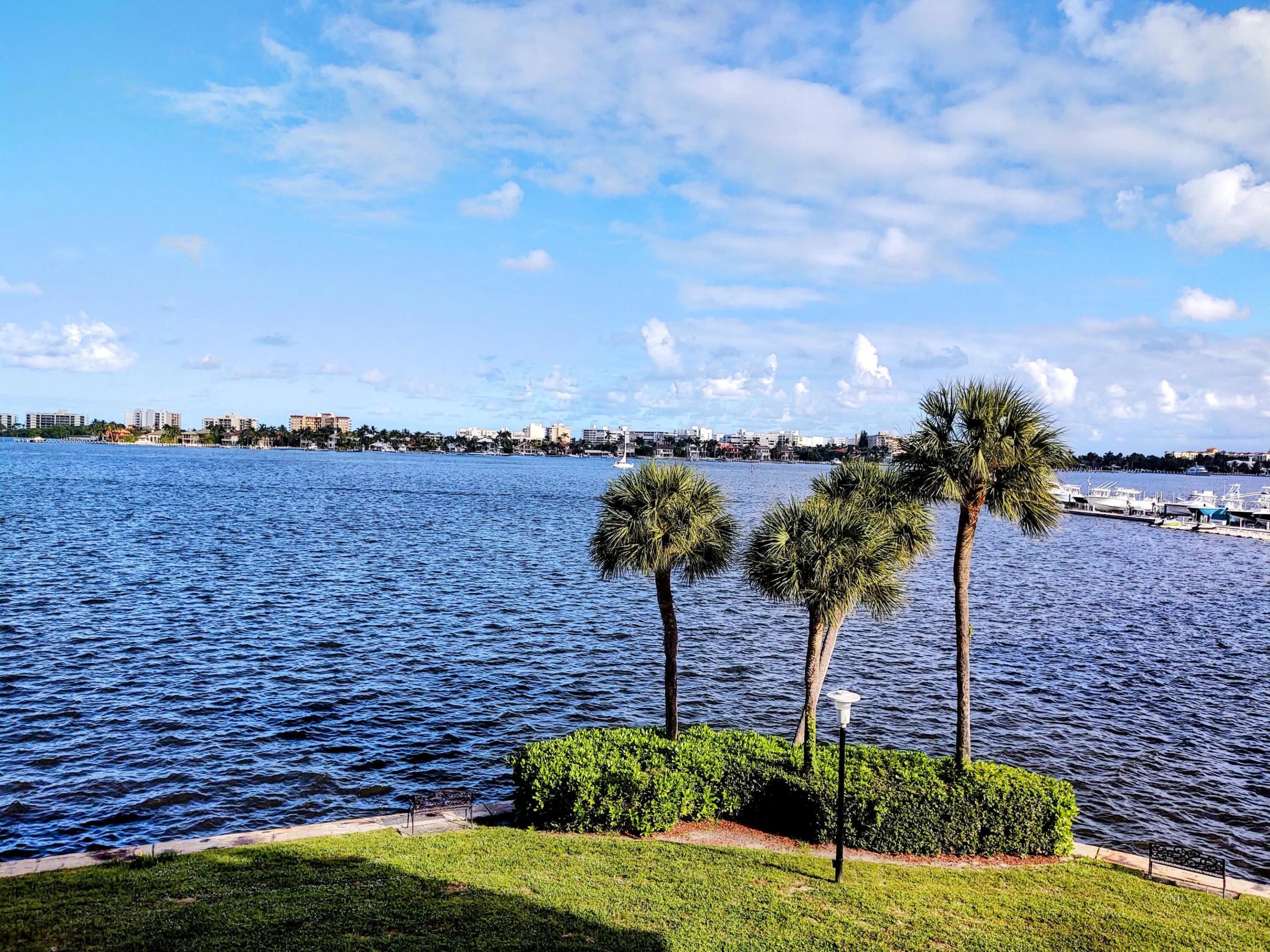 Intracostal Views