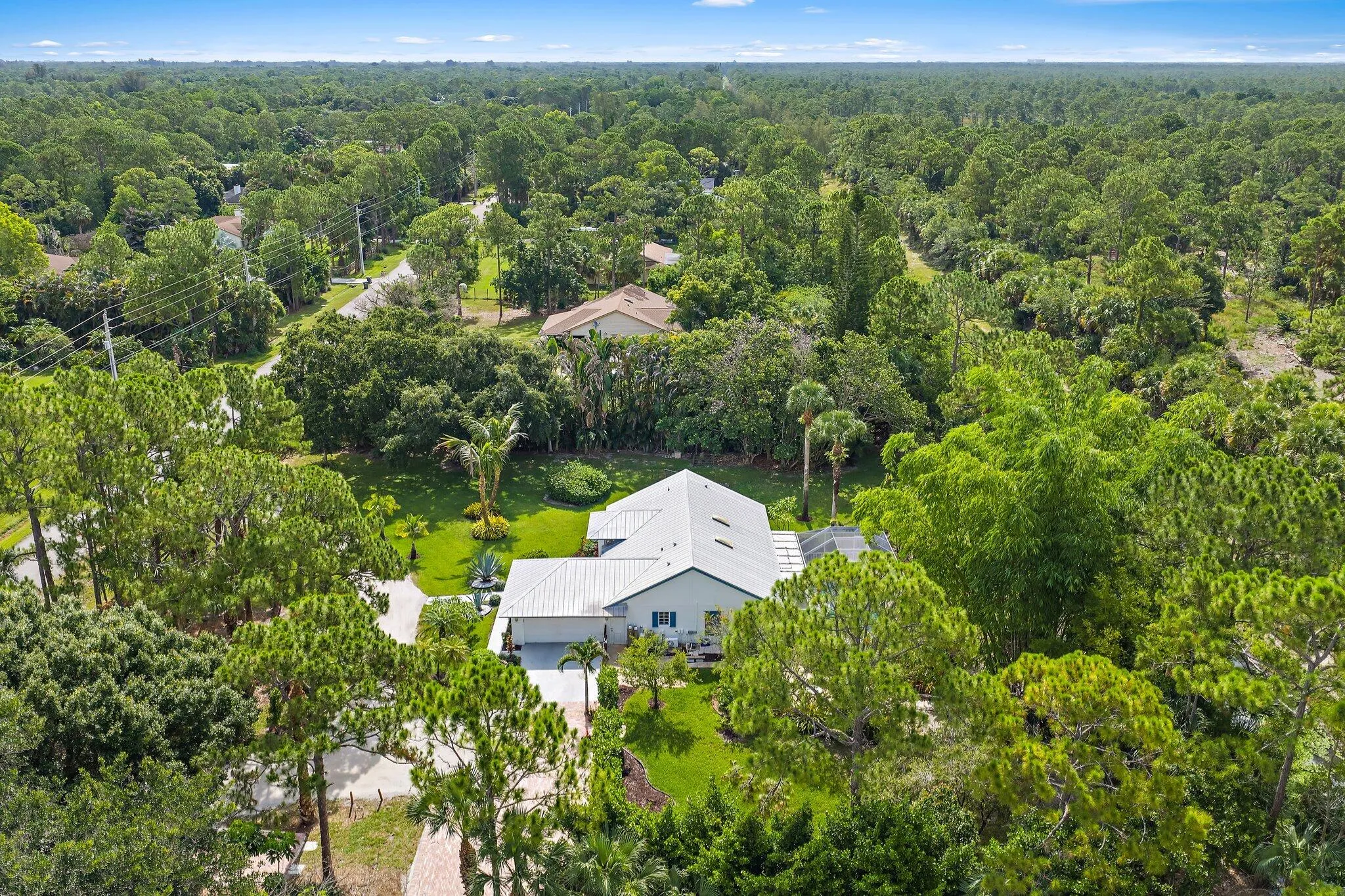 Aerial view of the neighborhood