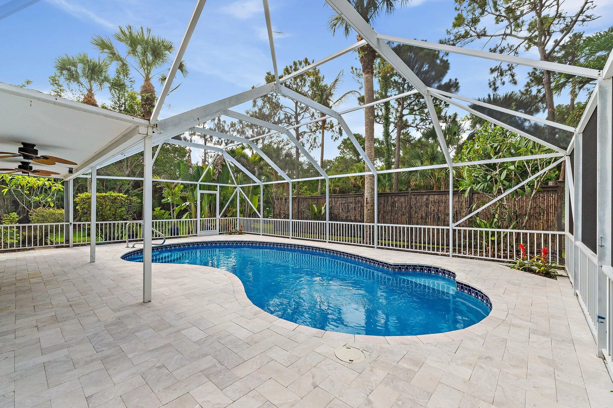 Screened pool and patio