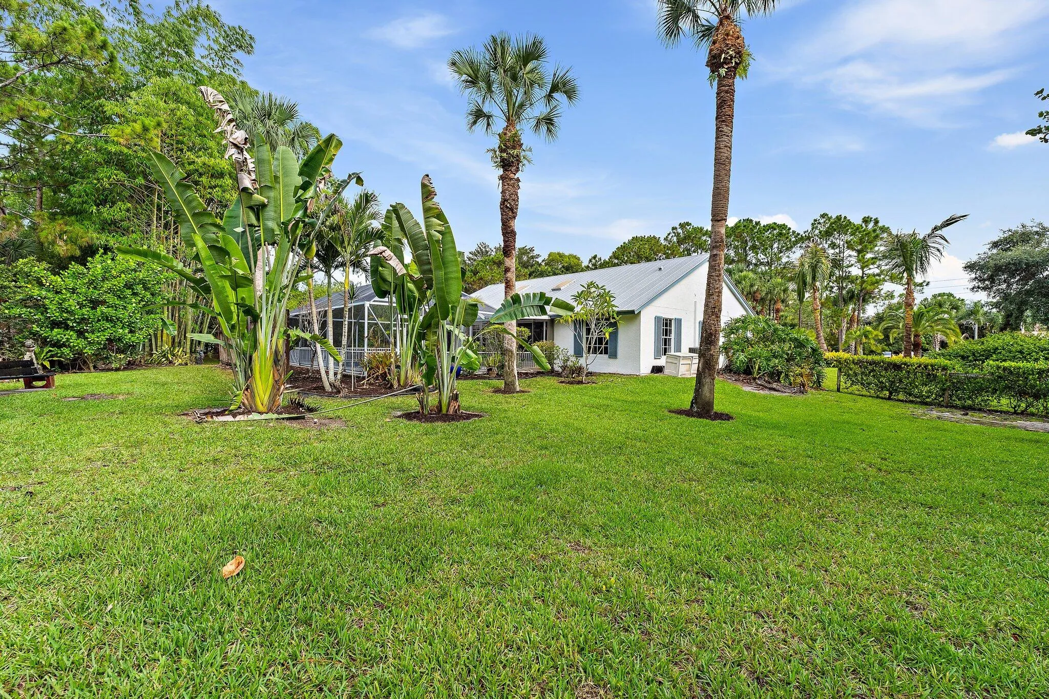 Rear exterior and lawn