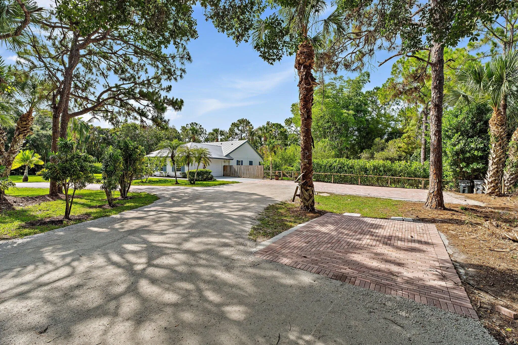 Tree-lined driveway