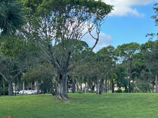 falls grounds 2