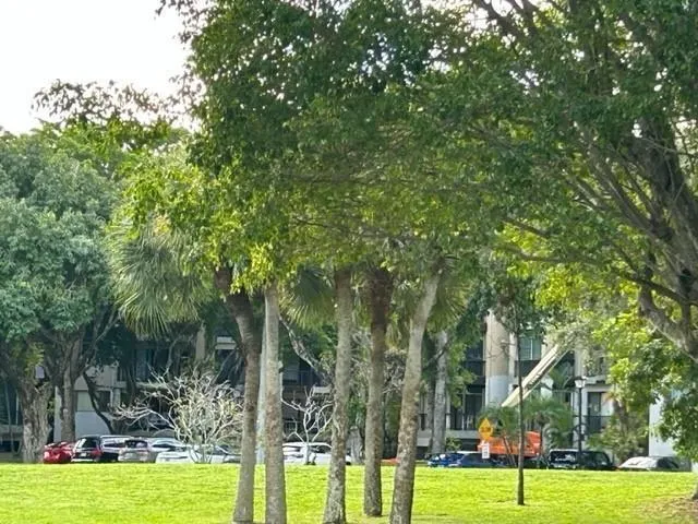 falls jog path