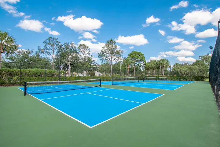 Community Pickleball Courts