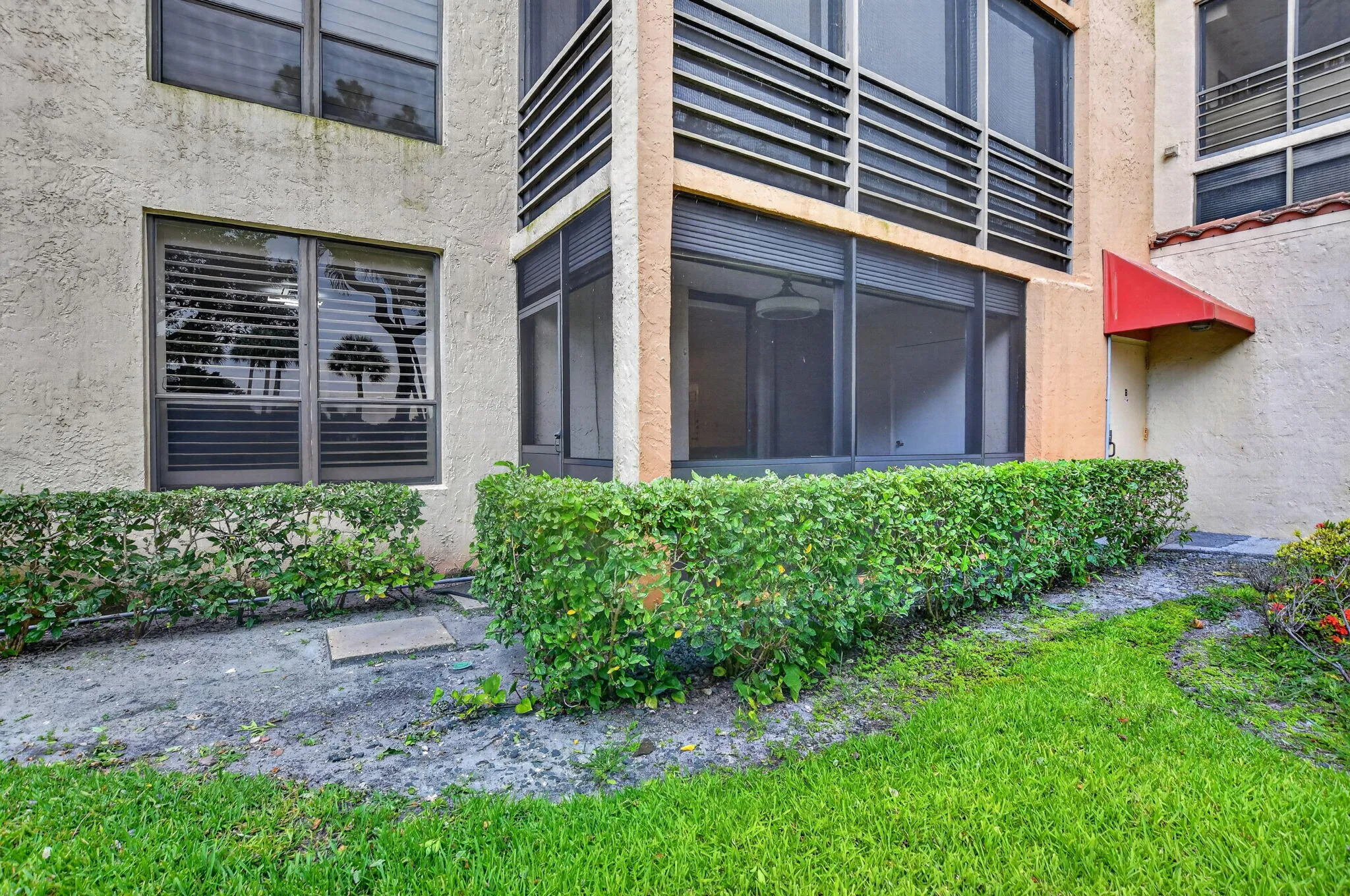 Back yard area