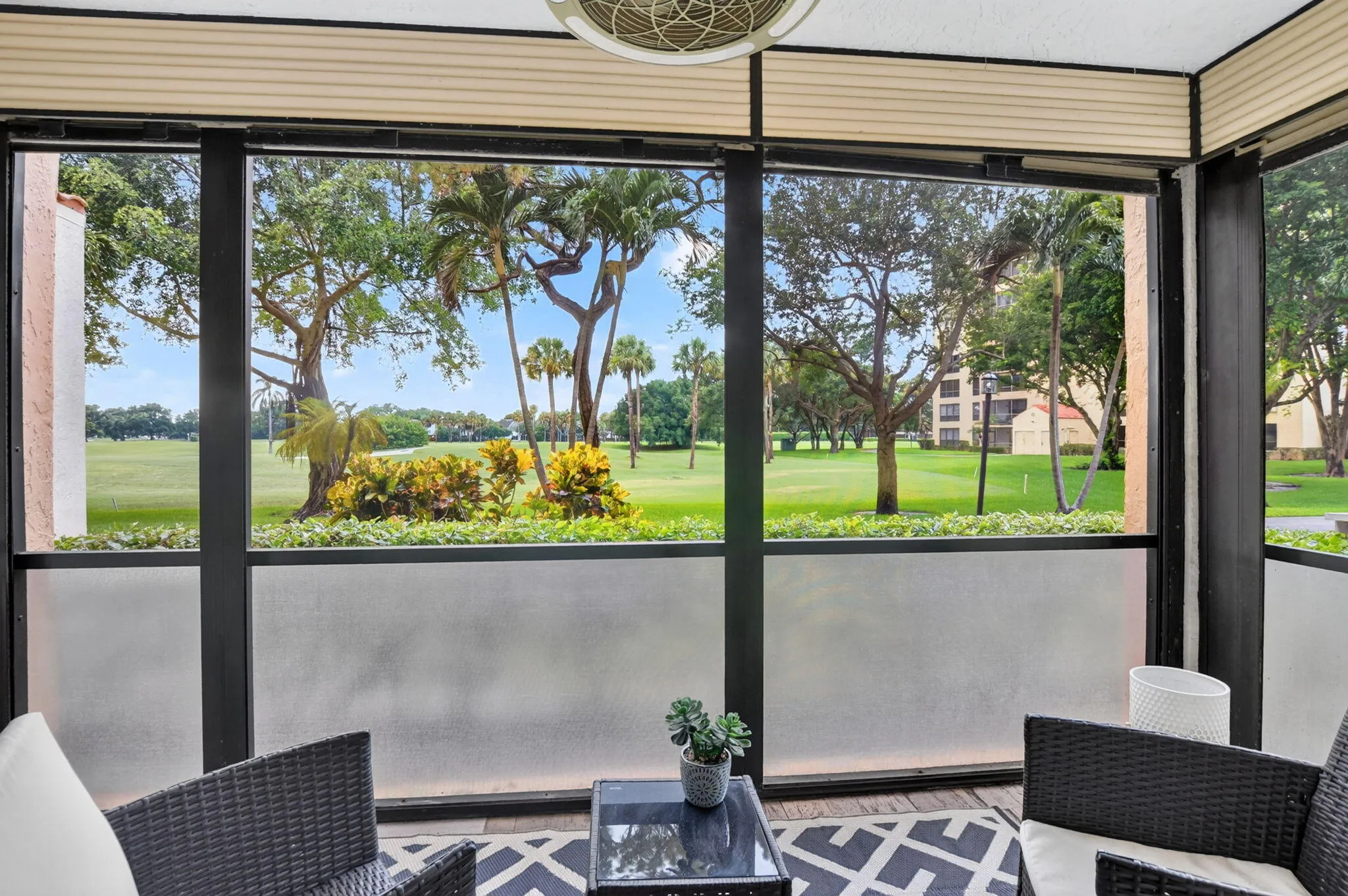 Back patio