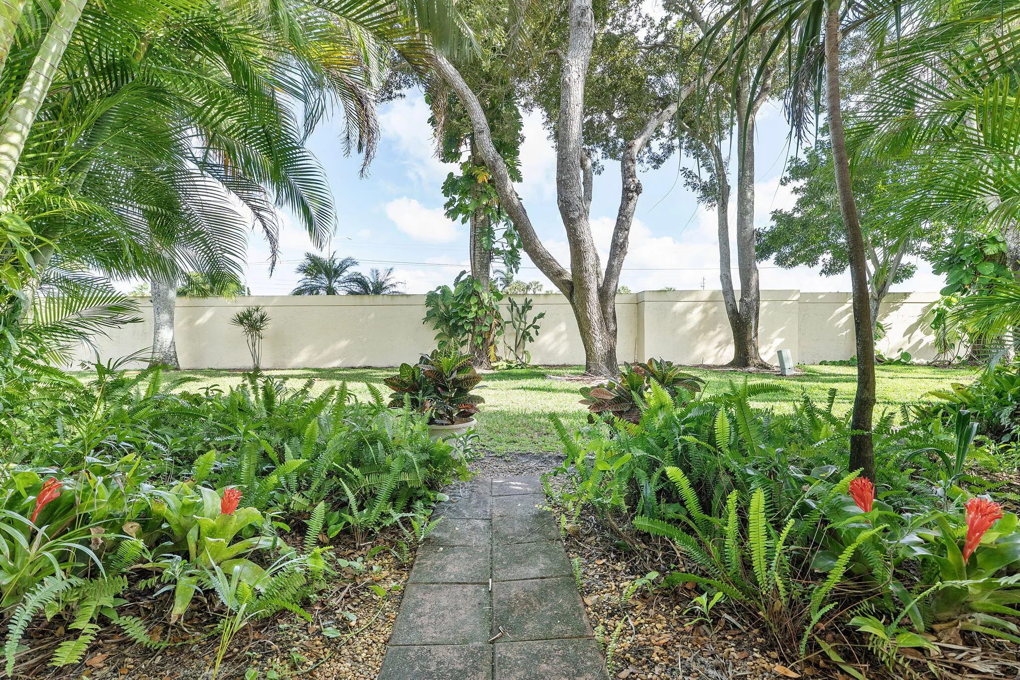 Garden Backyard