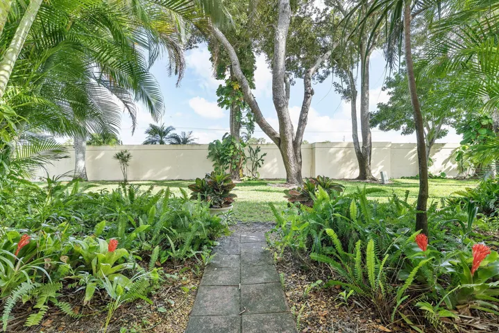 Garden Backyard