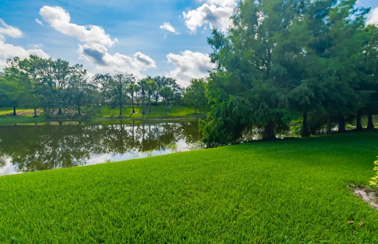 DSC_9371-HDR
