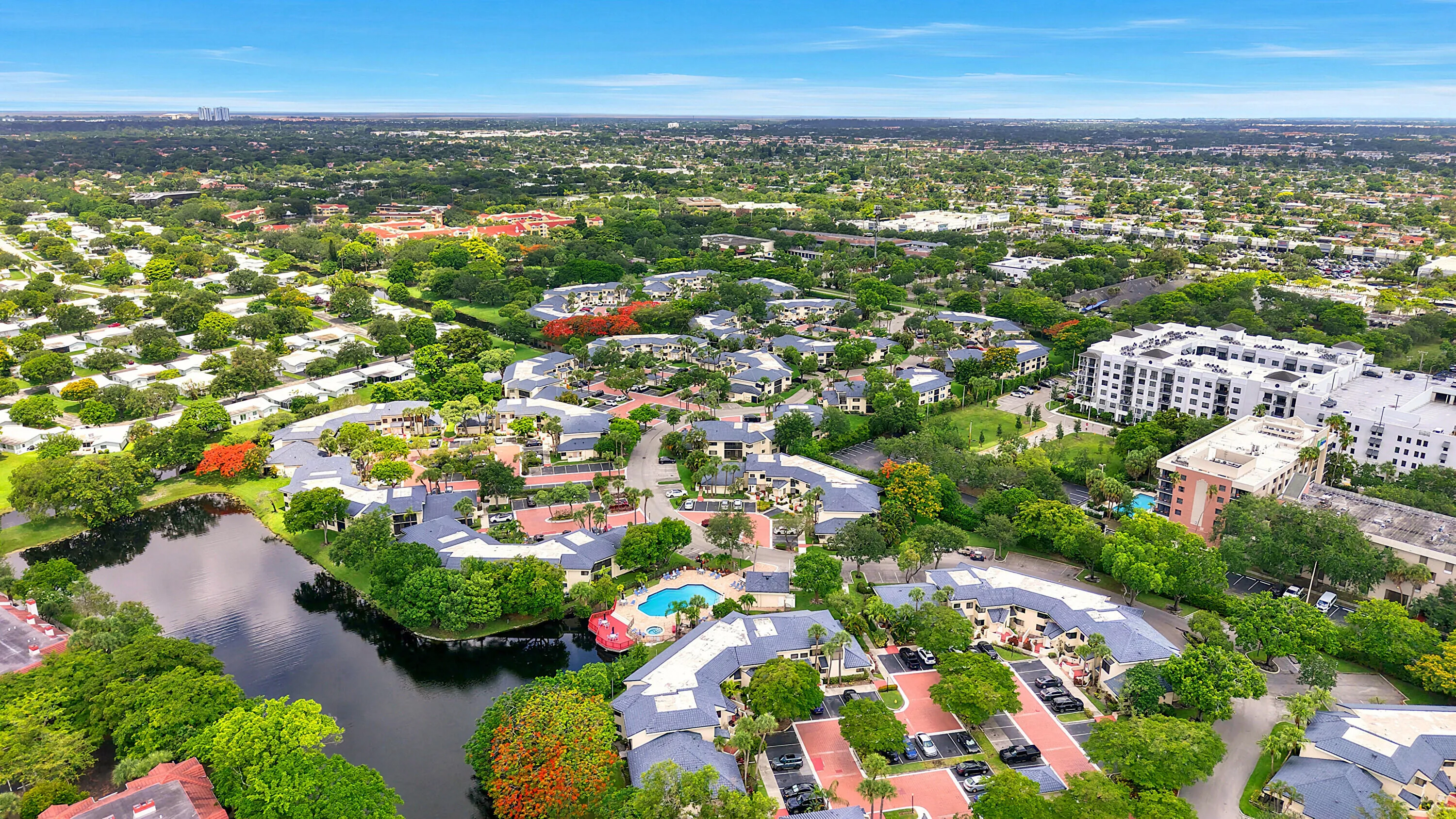 56_Arial whole community