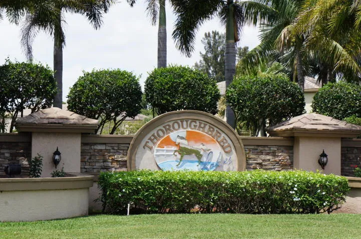 Thoroughbred