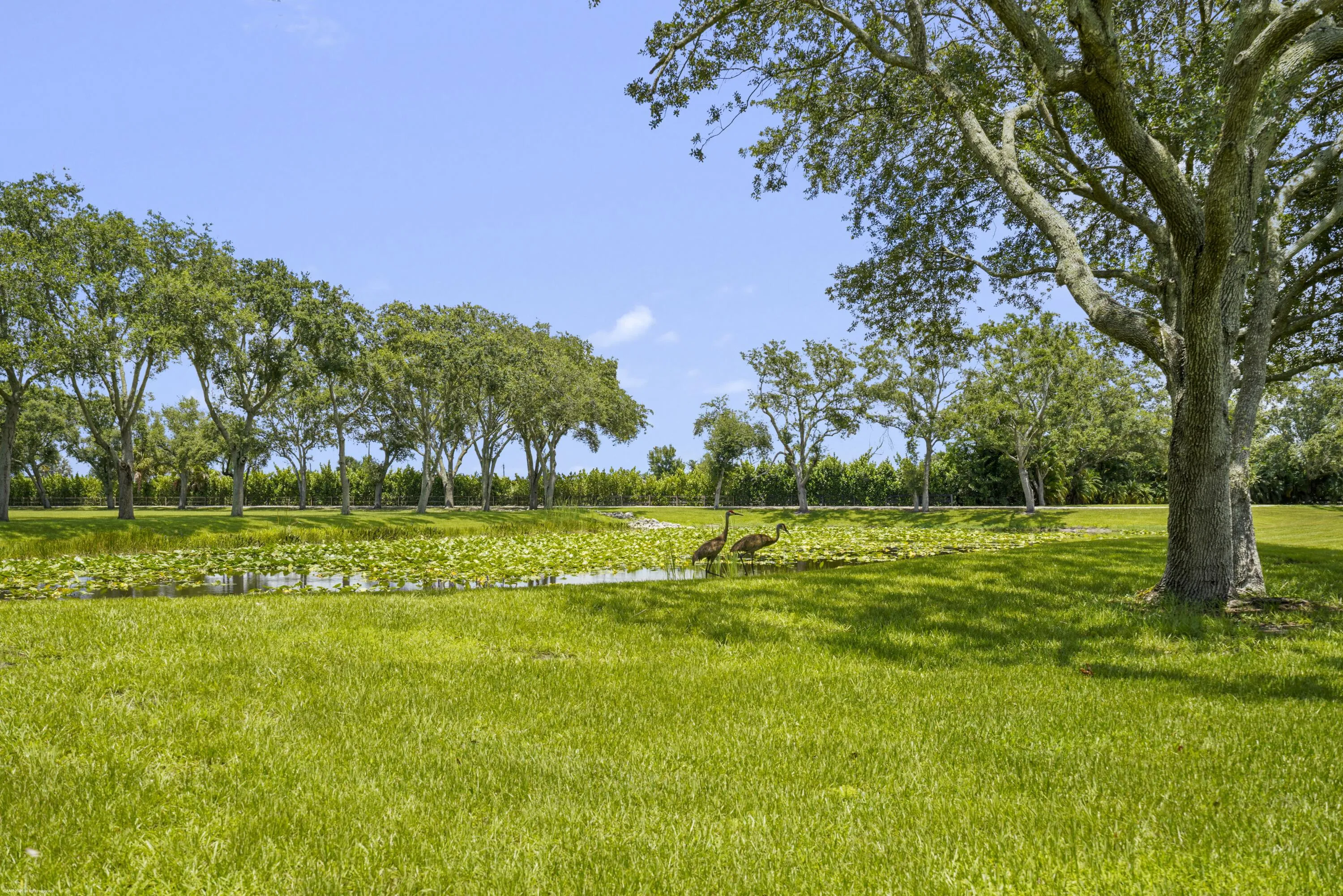 Property photo 75
