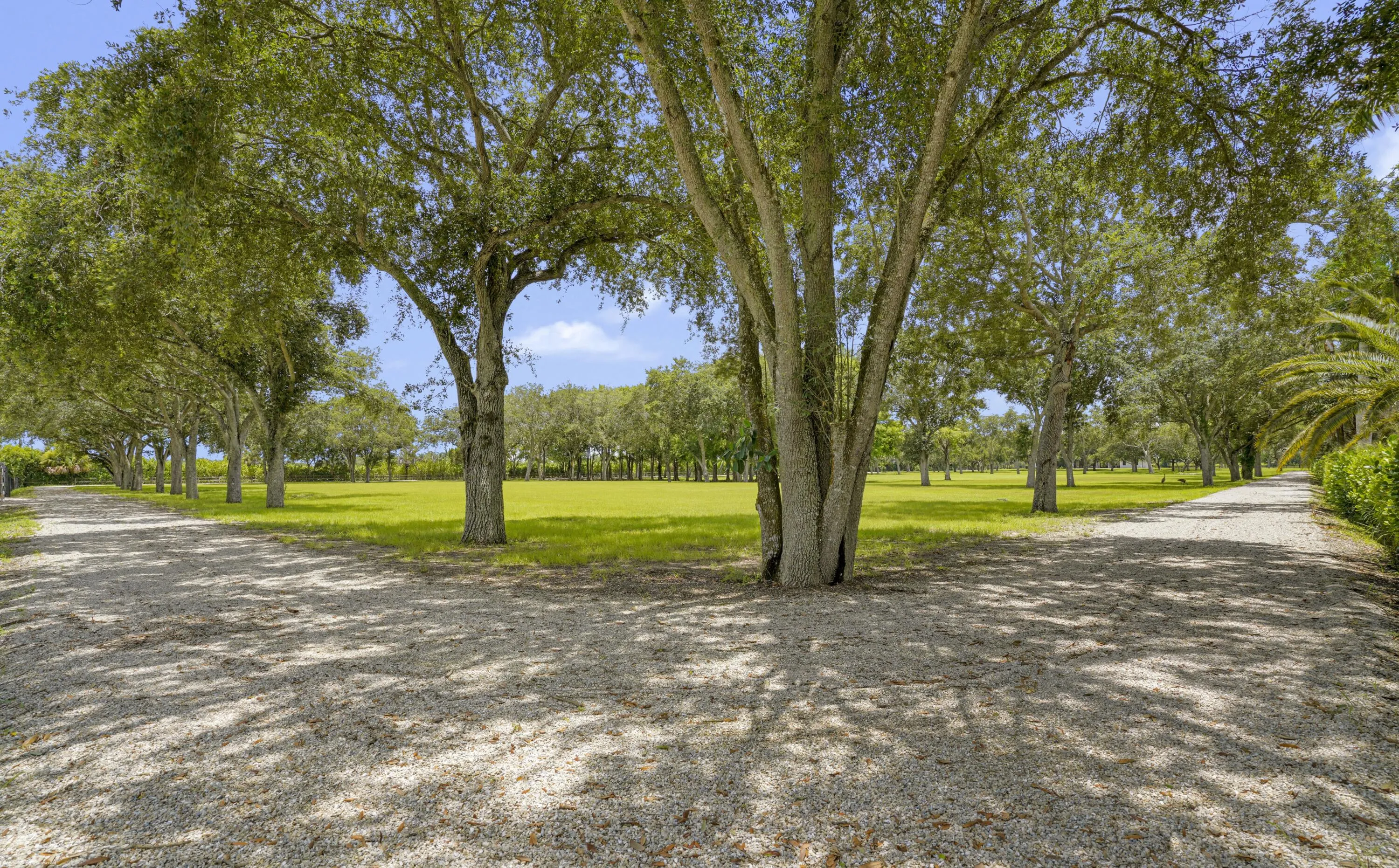 Property photo 76