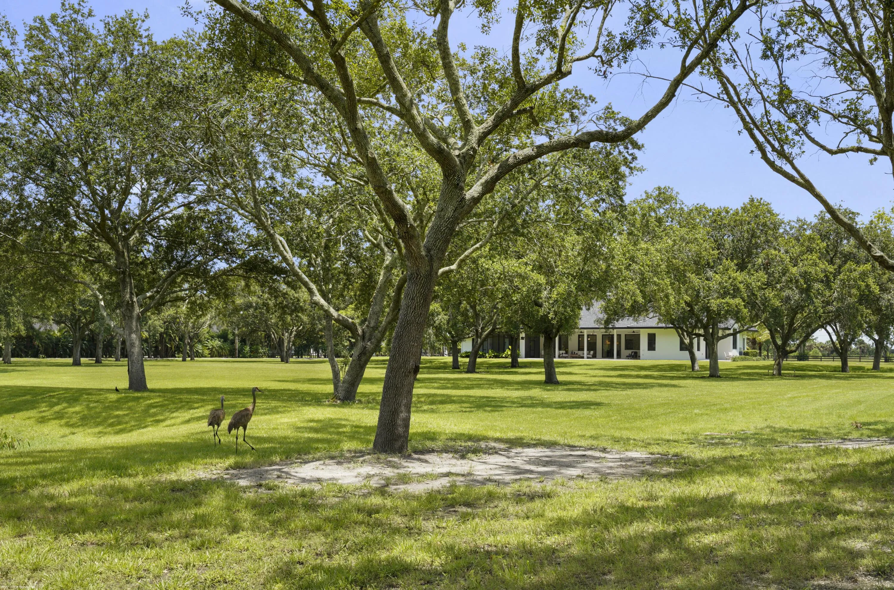 Property photo 63