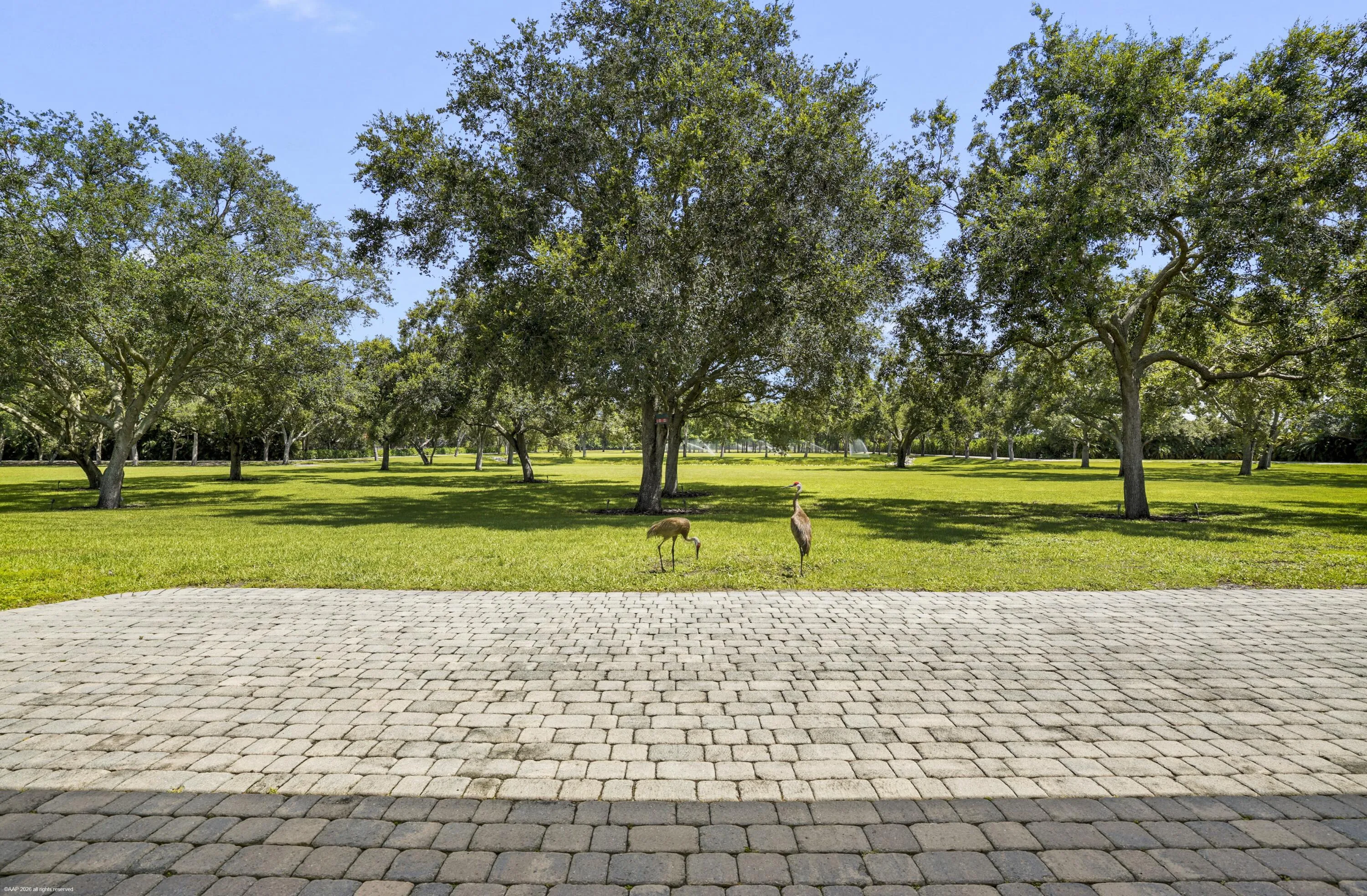 Property photo 51