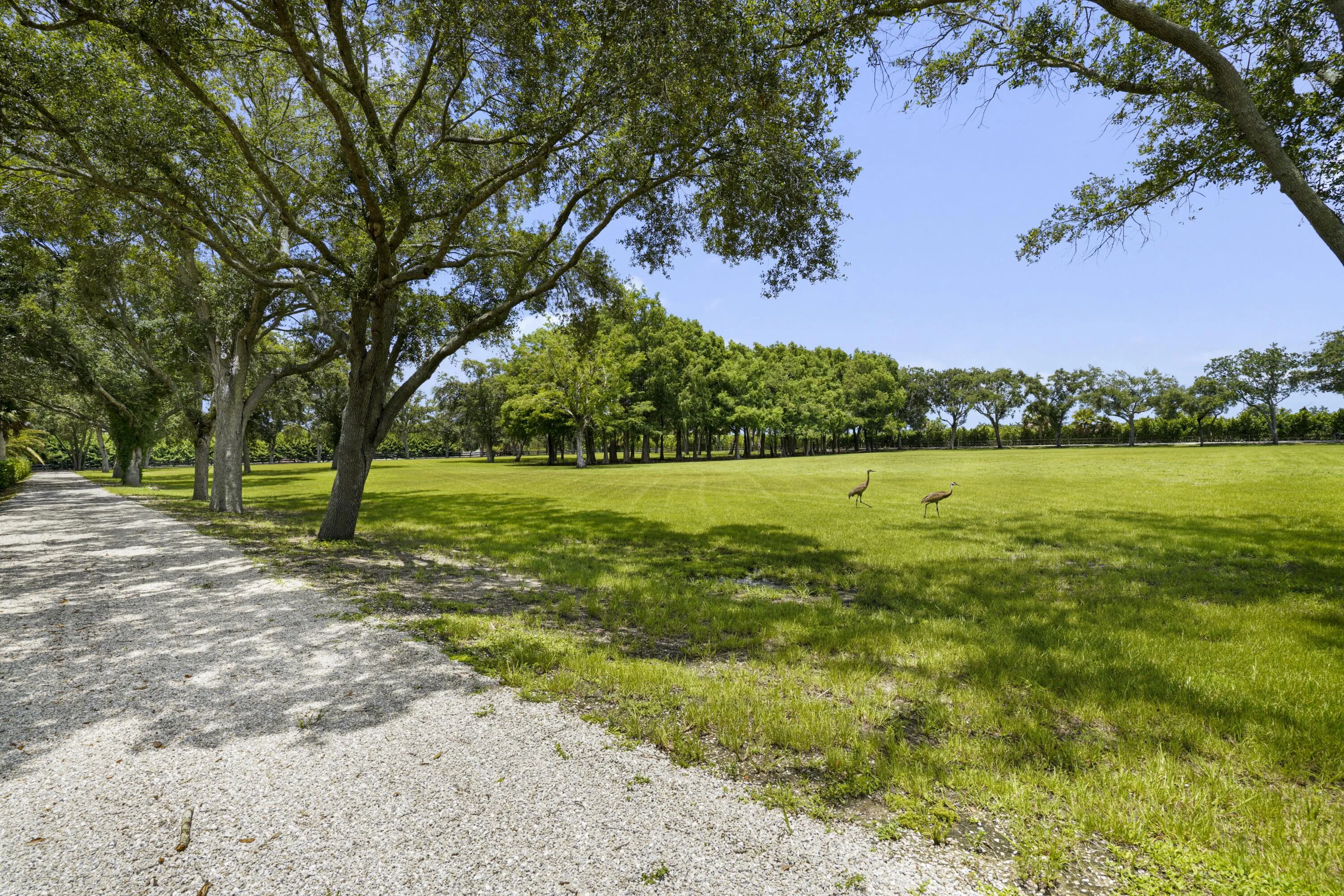 Property photo 69