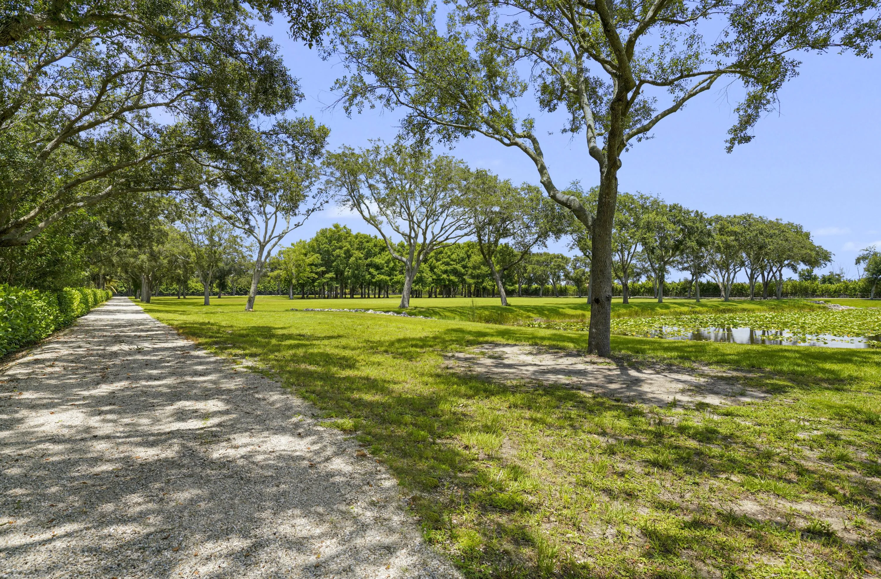 16451 Norris Rd 088