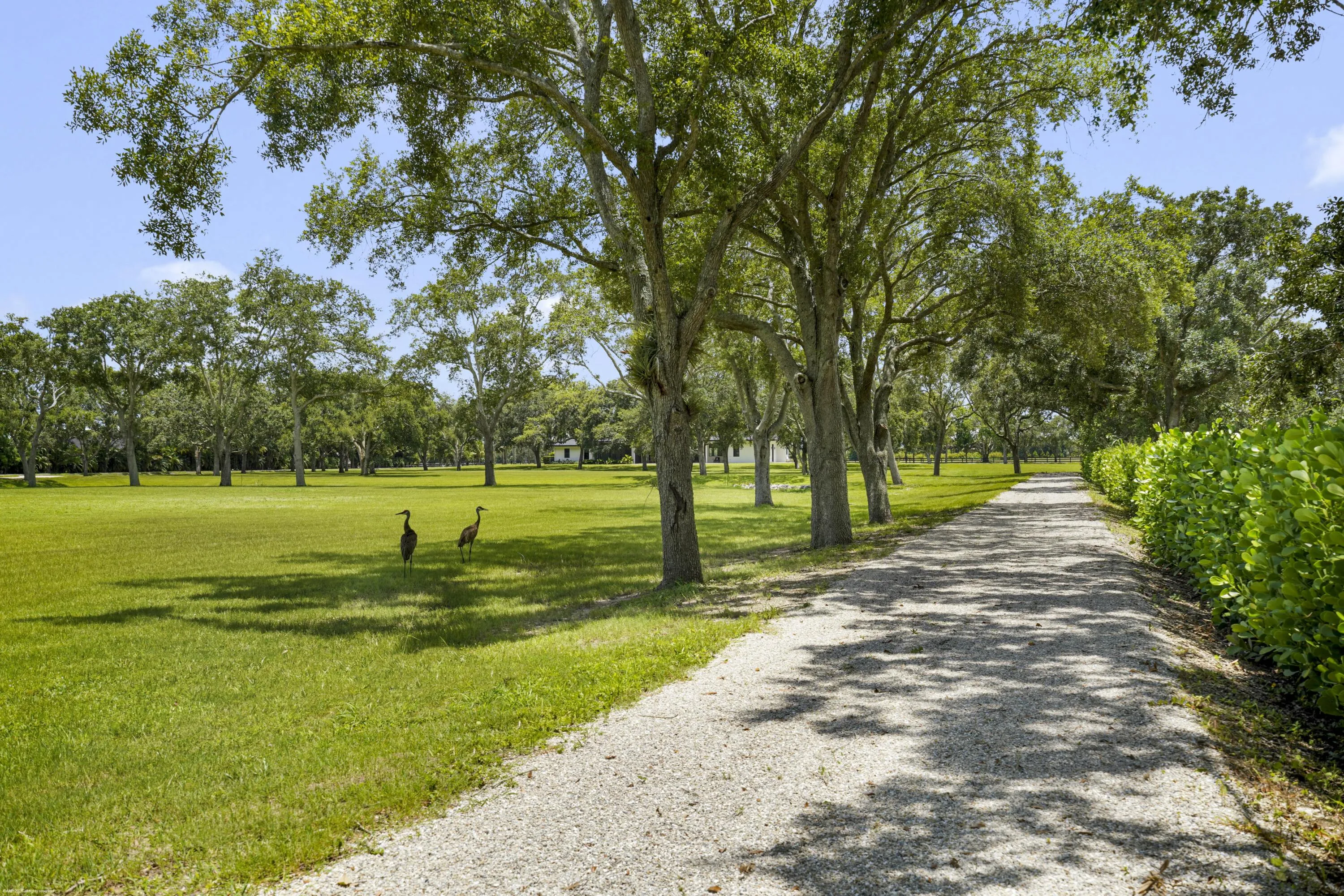 Property photo 68