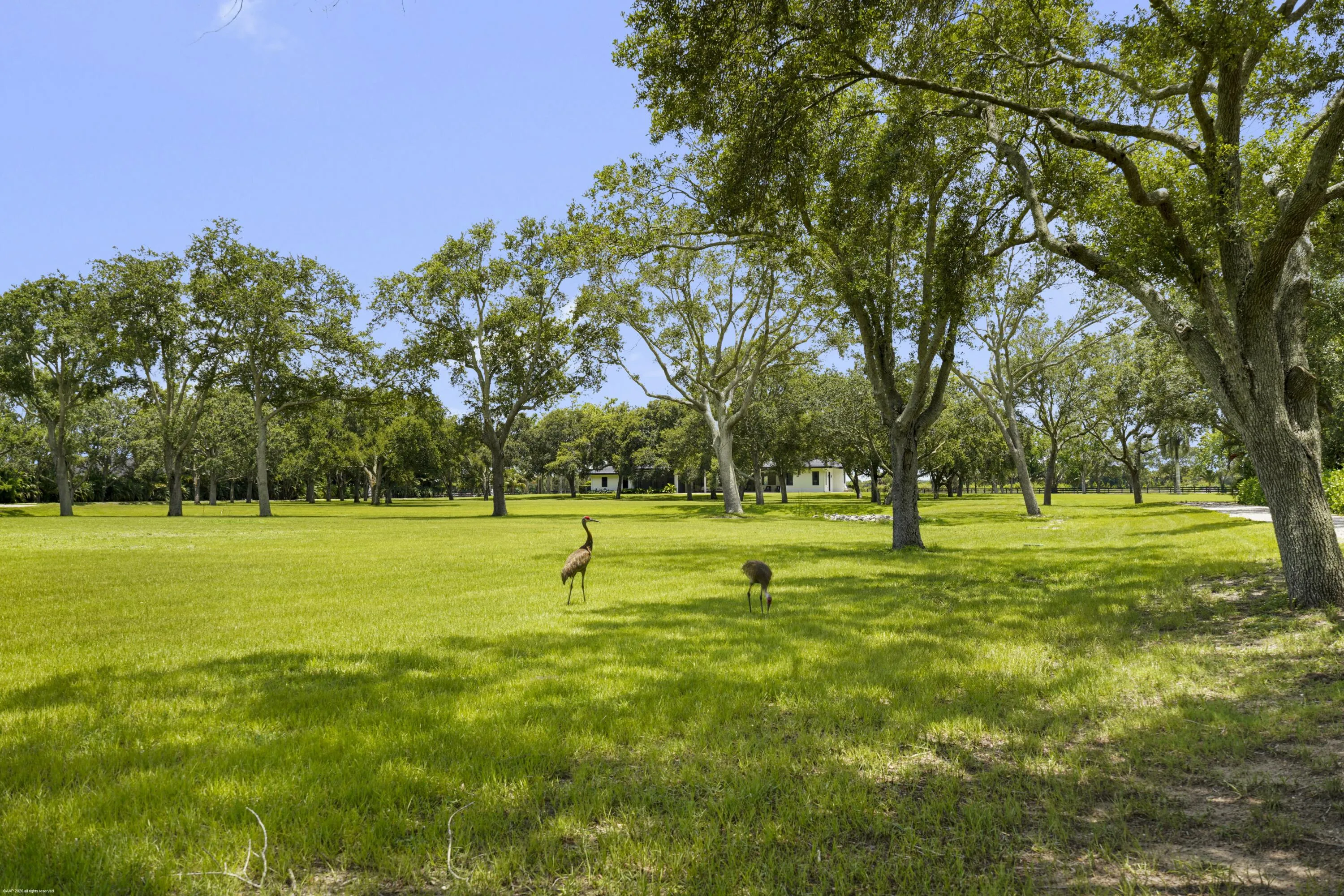 Property photo 64
