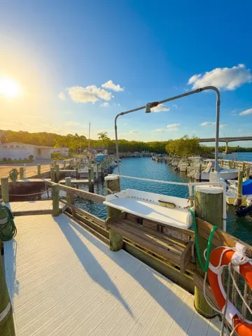 sunny marina 2