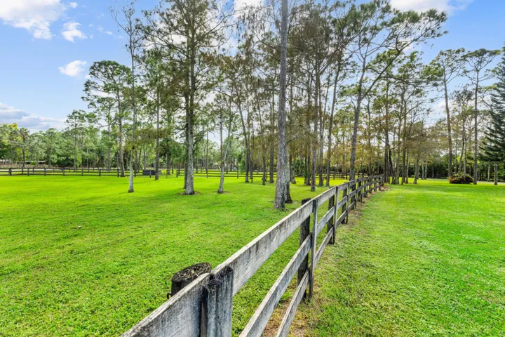 View of paddocks