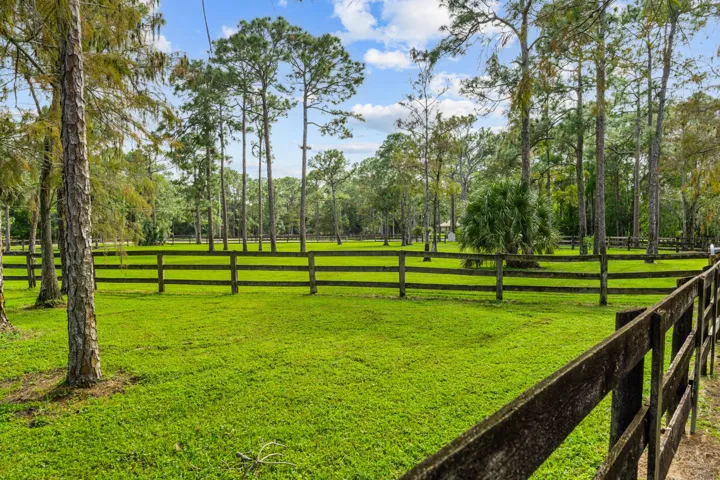 View of paddocks