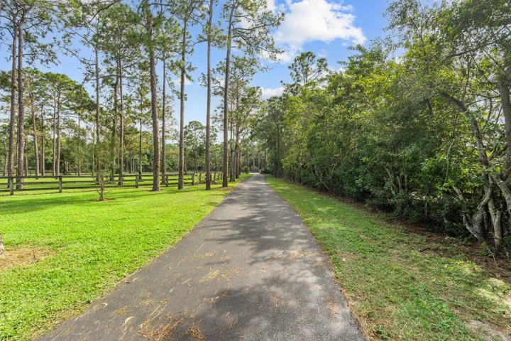 Winding Private Driveway