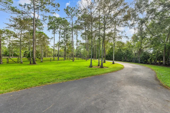 Winding Private Driveway