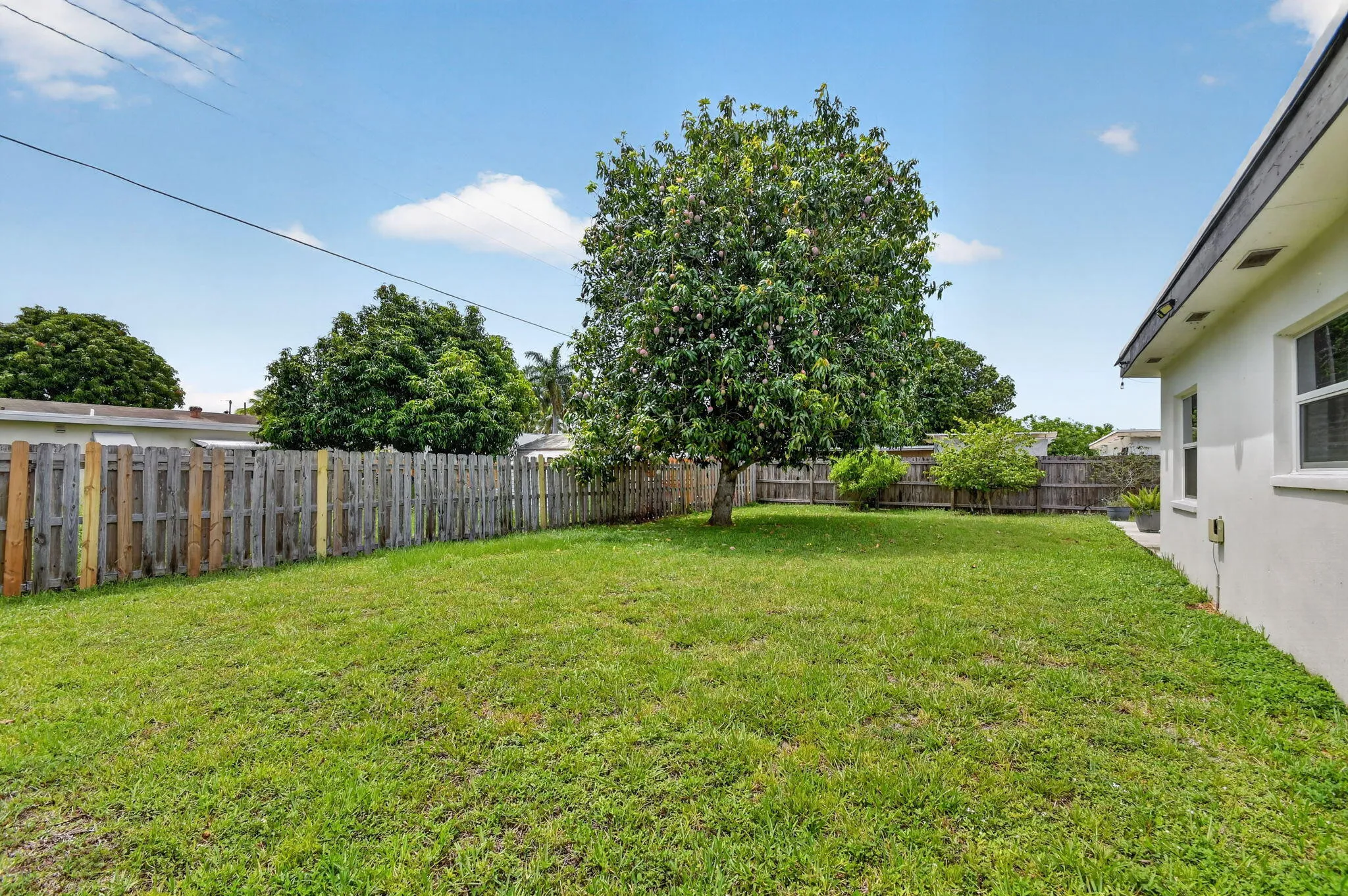54-web-or-mls-DSC_1392