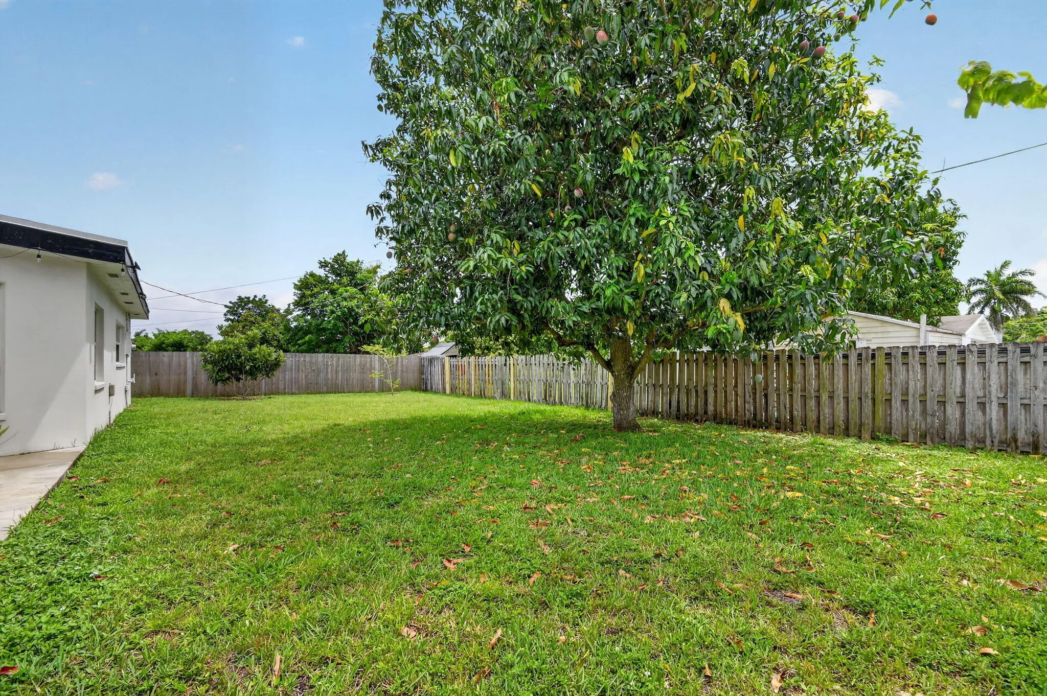 49-web-or-mls-DSC_1367