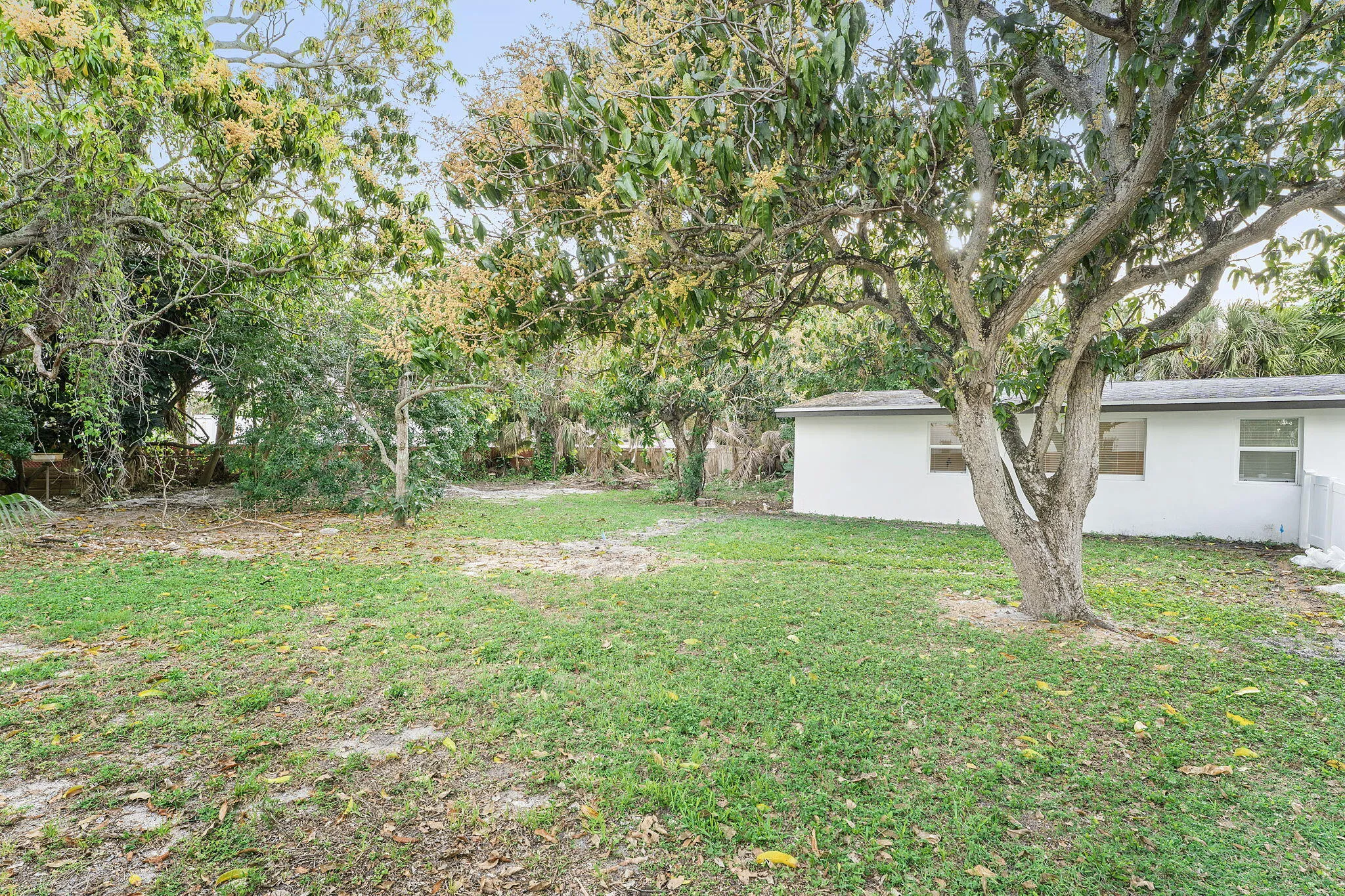13-web-or-mls-DSC00661